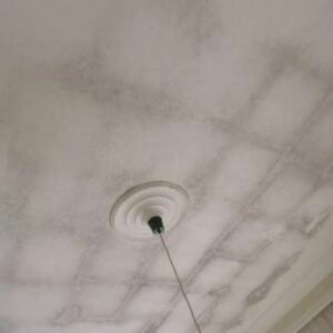 Insulation and Ventilation Inspections