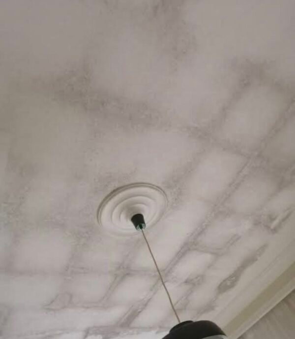 Insulation and Ventilation Inspections